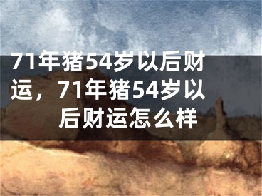 71年猪54岁以后财运，71年猪54岁以后财运怎么样