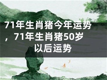 71年生肖猪今年运势,71年生肖猪50岁以后运势