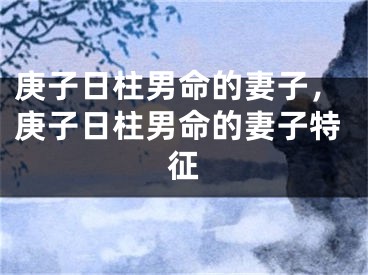 庚子日柱男命的妻子，庚子日柱男命的妻子特征