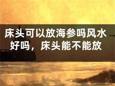 床头可以放海参吗风水好吗，床头能不能放