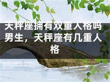 天秤座拥有双重人格吗男生，天秤座有几重人格