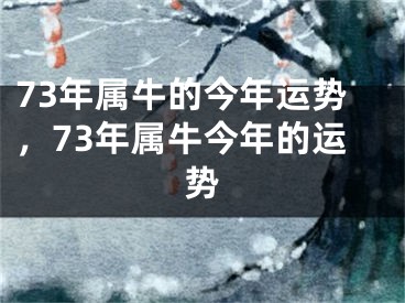 73年属牛的今年运势，73年属牛今年的运势