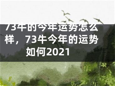 73牛的今年运势怎么样,73牛今年的运势如何2021