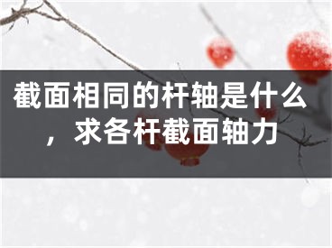 截面相同的杆轴是什么，求各杆截面轴力