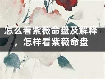 怎么看紫薇命盘及解释,怎样看紫薇命盘