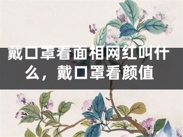 戴口罩看面相网红叫什么，戴口罩看颜值