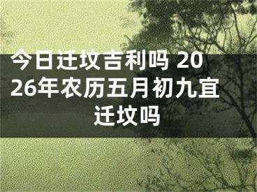 今日迁坟吉利吗 2026年农历五月初九宜迁坟吗