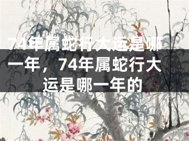 74年属蛇行大运是哪一年，74年属蛇行大运是哪一年的