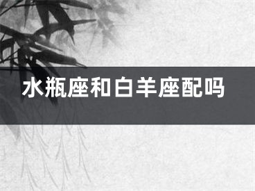 水瓶座和白羊座配吗