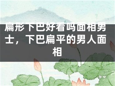 扁形下巴好看吗面相男士,下巴扁平的男人面相