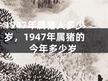 1947年属猪人多少岁，1947年属猪的今年多少岁