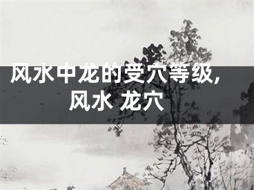 风水中龙的受穴等级,风水 龙穴