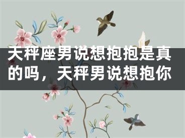 天秤座男说想抱抱是真的吗，天秤男说想抱你