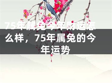 75年属兔今年财运怎么样，75年属兔的今年运势