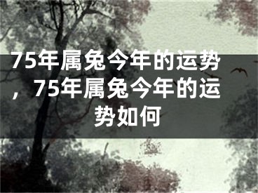 75年属兔今年的运势，75年属兔今年的运势如何