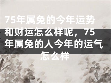 75年属兔的今年运势和财运怎么样呢，75年属兔的人今年的运气怎么样