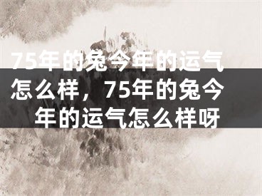 75年的兔今年的运气怎么样，75年的兔今年的运气怎么样呀