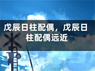 戊辰日柱配偶,戊辰日柱配偶远近