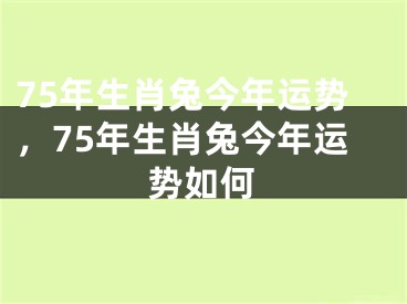 75年生肖兔今年运势，75年生肖兔今年运势如何