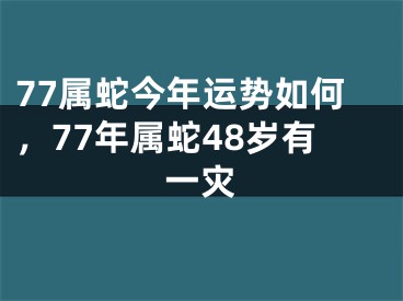 77属蛇今年运势如何，77年属蛇48岁有一灾