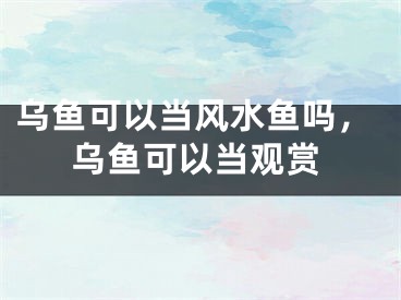 乌鱼可以当风水鱼吗，乌鱼可以当观赏