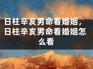 日柱辛亥男命看婚姻，日柱辛亥男命看婚姻怎么看