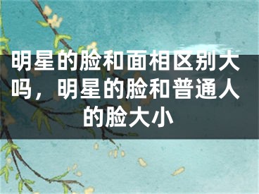 明星的脸和面相区别大吗,明星的脸和普通人的脸大小