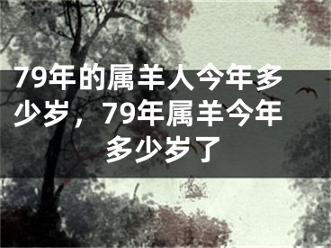 79年的属羊人今年多少岁，79年属羊今年多少岁了