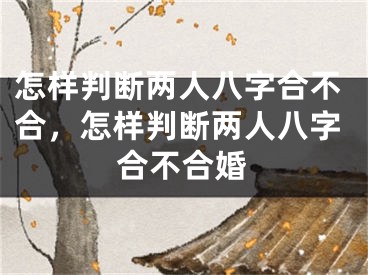 怎样判断两人八字合不合，怎样判断两人八字合不合婚