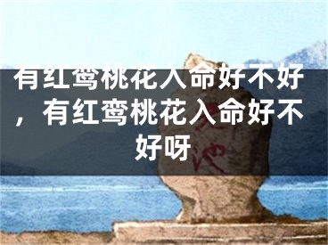 有红鸾桃花入命好不好，有红鸾桃花入命好不好呀