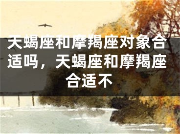 天蝎座和摩羯座对象合适吗，天蝎座和摩羯座合适不