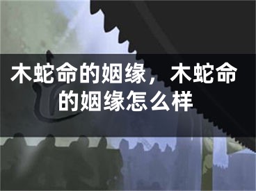 木蛇命的姻缘，木蛇命的姻缘怎么样