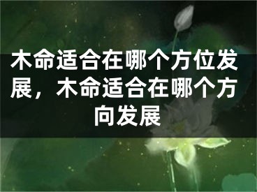 木命适合在哪个方位发展，木命适合在哪个方向发展