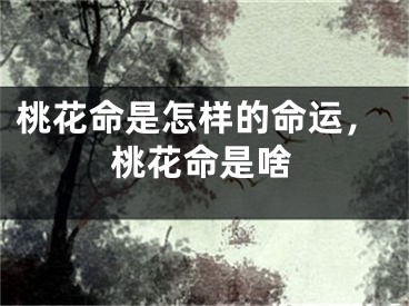 桃花命是怎样的命运，桃花命是啥
