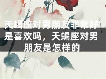 天蝎座对男朋友非常好是喜欢吗，天蝎座对男朋友是怎样的