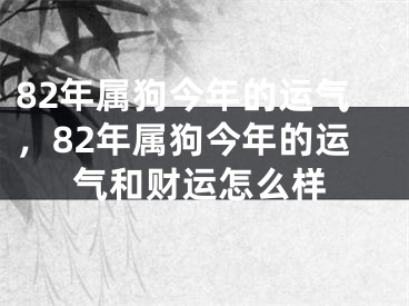 82年属狗今年的运气,82年属狗今年的运气和财运怎么样