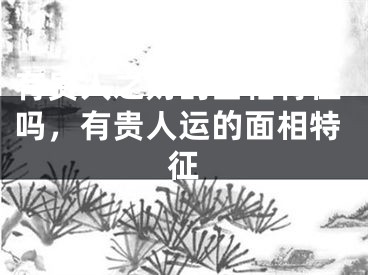 有贵人之财的面相特征吗，有贵人运的面相特征