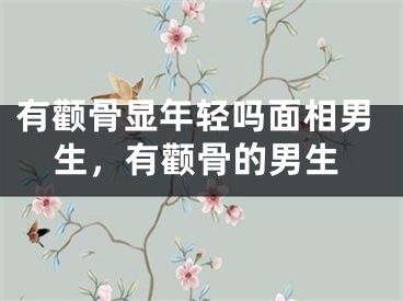 有颧骨显年轻吗面相男生，有颧骨的男生