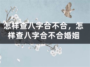 怎样查八字合不合，怎样查八字合不合婚姻