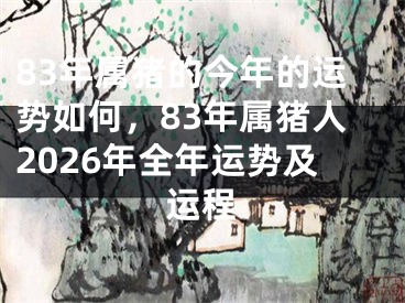83年属猪的今年的运势如何，83年属猪人2026年全年运势及运程