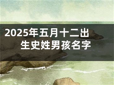 2025年五月十二出生史姓男孩名字