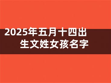 2025年五月十四出生文姓女孩名字