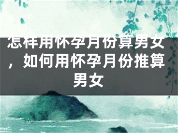 怎样用怀孕月份算男女,如何用怀孕月份推算男女