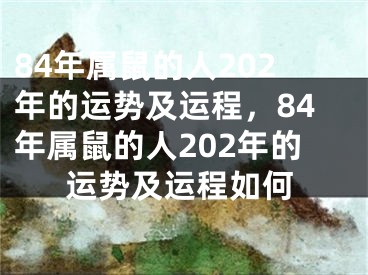 84年属鼠的人202年的运势及运程，84年属鼠的人202年的运势及运程如何