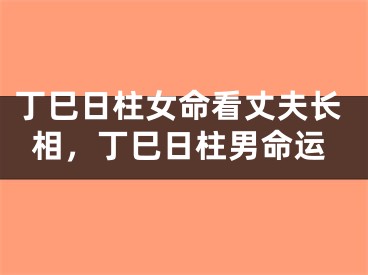 丁巳日柱女命看丈夫长相,丁巳日柱男命运