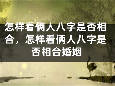 怎样看俩人八字是否相合,怎样看俩人八字是否相合婚姻