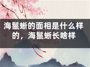 海鬣蜥的面相是什么样的，海鬣蜥长啥样