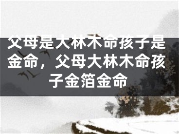 父母是大林木命孩子是金命,父母大林木命孩子金箔金命