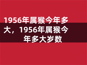 1956年属猴今年多大,1956年属猴今年多大岁数