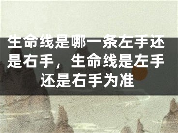 生命线是哪一条左手还是右手,生命线是左手还是右手为准
